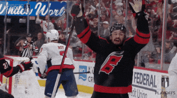 Happy Stanley Cup Playoffs GIF by NHL