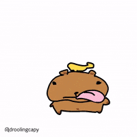Droolingcapy kawaii silly woof capybara GIF