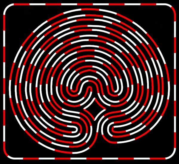 brain labyrinth GIF