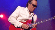 Oh Man Love GIF by Joe Bonamassa