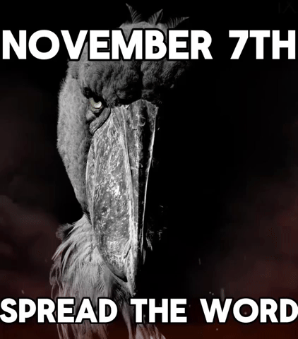 November GIF