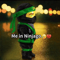 Ninjago Movie Ninja GIF