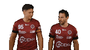 Sparta Praha Floorball Sticker by Český florbal