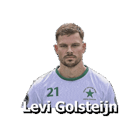 Sport Heerlen Sticker by Groene ster