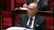 bernard cazeneuve ennui GIF by franceinfo