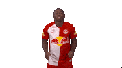Lets Go Goal Sticker by FC Red Bull Salzburg