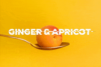 BELLSANDWHISTLES  GIF