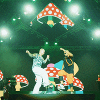 empiremusicfestoficial musica fiesta guatemala eventos GIF