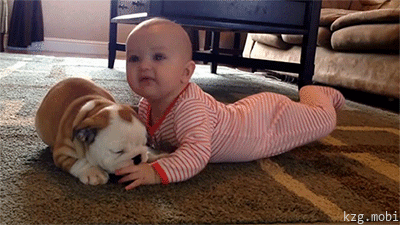 Video gif. A baby lies on her stomach with her neck stretched out as a small pug nibbles on her fingers.
