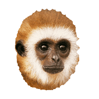Sticker by imoji