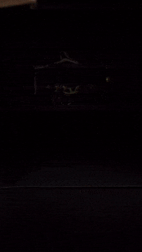 Kendama GIF by Sweets Kendamas