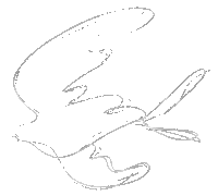 White Bird Sticker