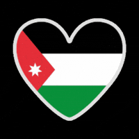 Independence Day Flags GIF by All Jordan Youth Commission