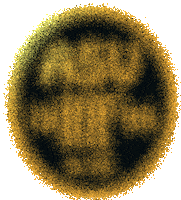 ASV_Hof wrestling hof ringen drb Sticker