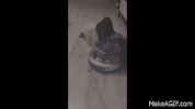just GIF