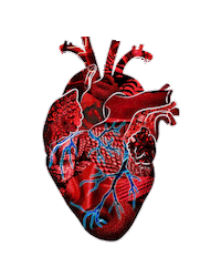 heart beat love Sticker by Tyler Resty