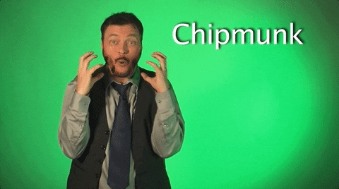 sign language chipmunk GIF by Sign with Robert