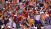 Tennessee Football Ut GIF by Tennessee Athletics