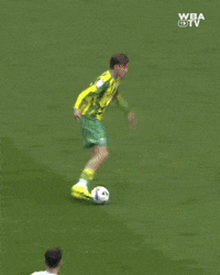 West Brom Wba GIF by West Bromwich Albion