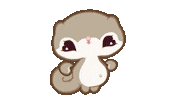 Squirrel Love Sticker