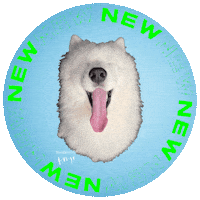 Post Benji Sticker