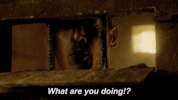 michael scofield fox GIF by Prison Break