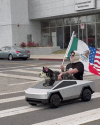 Mexican American Dog GIF by SWAGGY WOLFDOG