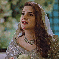 Bride Ok GIF