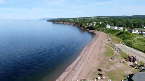 andyappleby giphygifmaker GIF