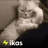 Angry Cat GIF by ikas