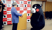 kumamon GIF