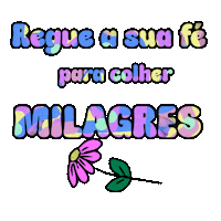 Frases Encantos Sticker