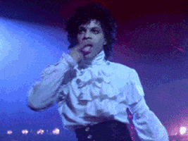 prince vince GIF