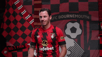 Celebrate Premier League GIF by AFC Bournemouth