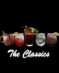 thewismerhouse drinks cocktail cocktails mojito GIF