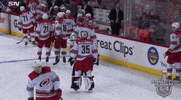 ice hockey hug GIF by NHL