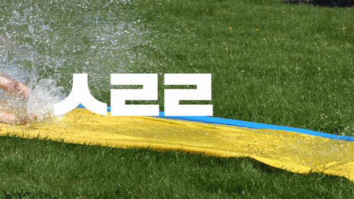happycall_korea giphyupload GIF