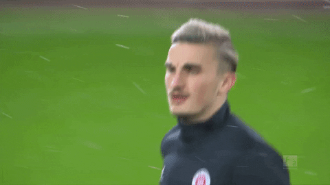 Fcsp Sanktpauli GIF by FC St. Pauli