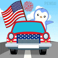 United States Penguin GIF by Pudgy Penguins