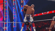 Sport Wwe GIF by USA Network