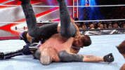 Sport Wwe GIF by USA Network