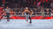 Sport Wwe GIF by USA Network