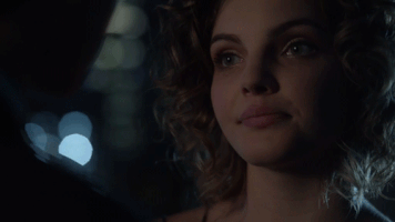 mad city fox GIF by Gotham