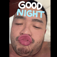 conmeo299 ngủ ngon chiphien conmeo299 khuyenduong299 GIF