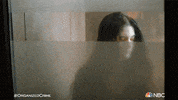 Season 2 Reaction GIF by Law & Order