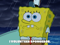 season 6 GIF by SpongeBob SquarePants