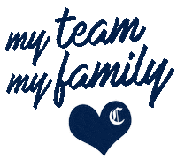 Sport Team Sticker by Collecchio Baseball Softball