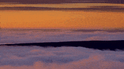 west virginia GIF