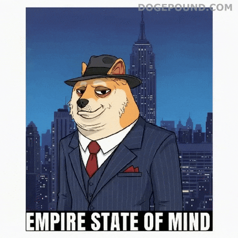 New York City Deal With It GIF by Doge Pound