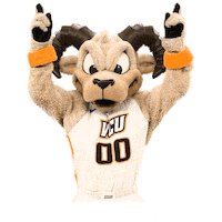 College Sports Rams Sticker by College Colors Day